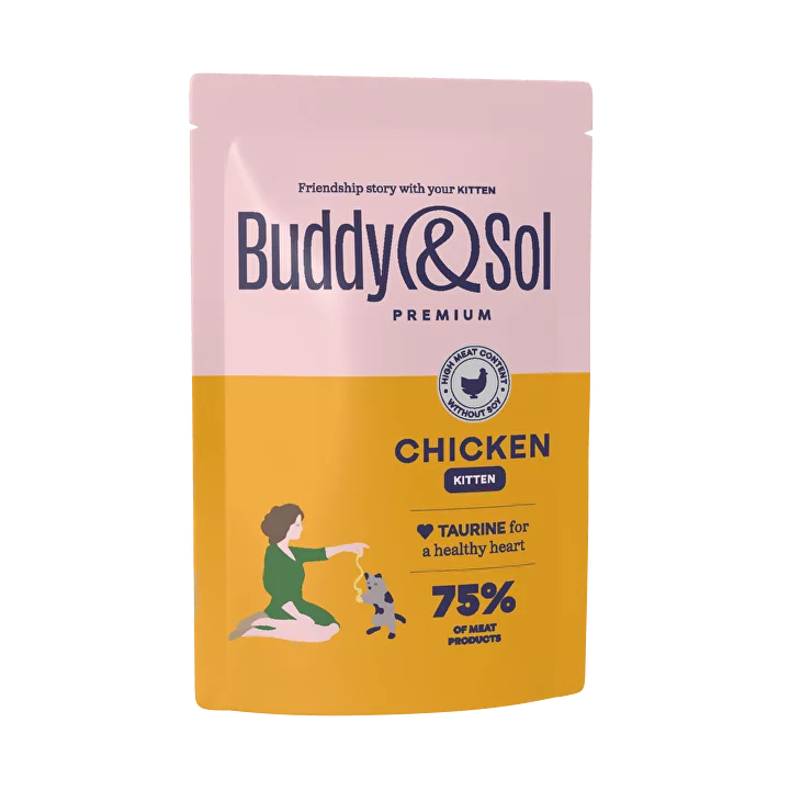 Buddy sol отзывы